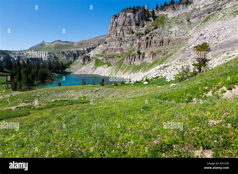 Marion Lake Grand Teton National Park Hi Res Stock Photography And