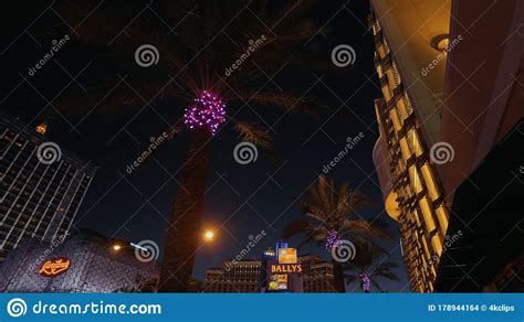Palm Trees At The Cromwell Hotel Las Vegas By Night Las Vegas Nevada