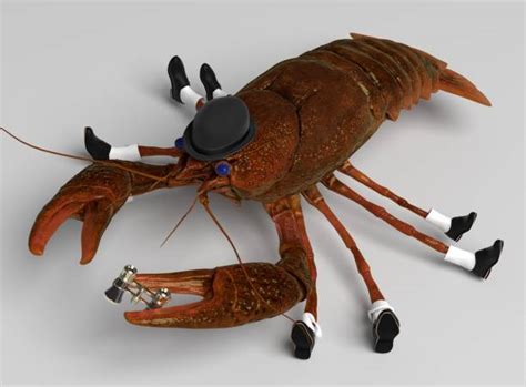 1100 Funny Lobster Stock Photos Pictures And Royalty Free Images Istock