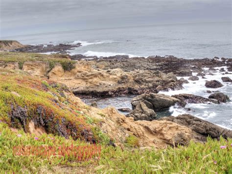Fiscalini Ranch Preserve Rugged Coastline Cambria California