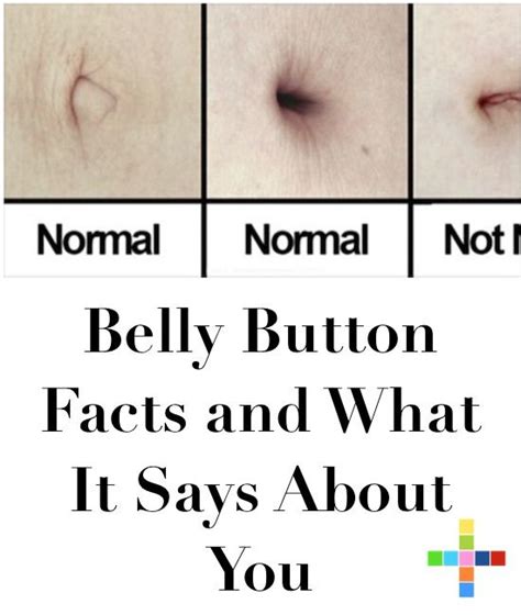 Belly Button Facts And What It Says About You Belly Button Belly Button Hernia Belly