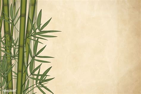 Bamboo Leaf Elements Background Illustration Free Image By Rawpixel