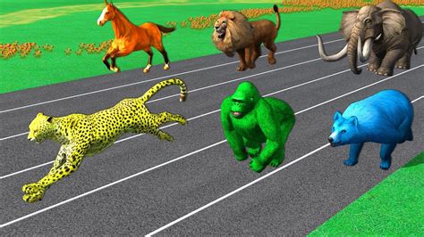 Learn Wild Animals Running Race Video For Kids Learn Animals Names