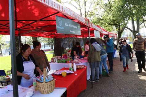 08 De Noviembre Este Viernes Se Realizará En Traiguén La 2da Feria