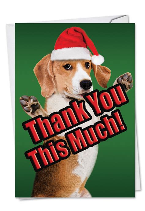 Thank you for coming to my birthday party, it was more special getting to celebrate with you. Dog Big Thanks: Creative Christmas Thank You Greeting Card