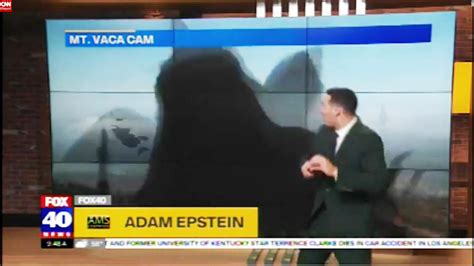 Weatherman Freaks Out On Live Tv Cnn Video