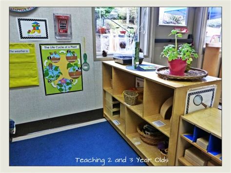 How To Set Up A Preschool Science Area In A Small Space