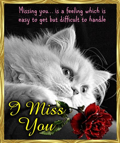 Missing You Ecard Just For You Free Miss You Ecards Greeting Cards
