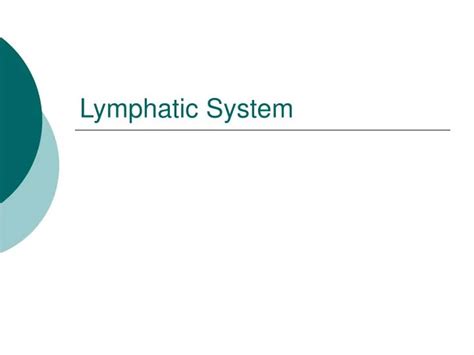 Ppt Lymphatic System Powerpoint Presentation Free Download Id2624858