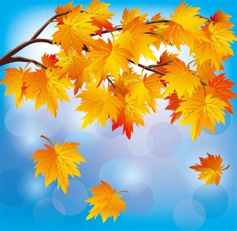 Beautiful Autumn Leaf Background 05 Vector Free Vector In