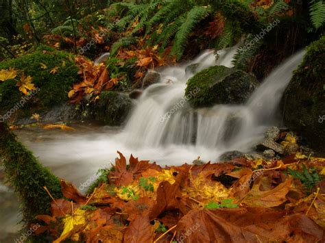 Autumn Waterfall — Stock Photo © Eppic 1174424