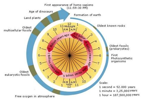 Earth S Billion Years As A Clock Theory Of Evolution Evolution