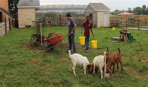 Answer Sheet Down On The Farm These Chicago High School Students Get