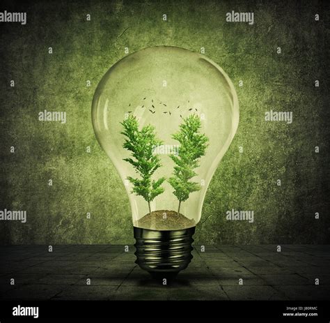 Light Bulb With Soil Green Trees Growing Inside And Birds Flying