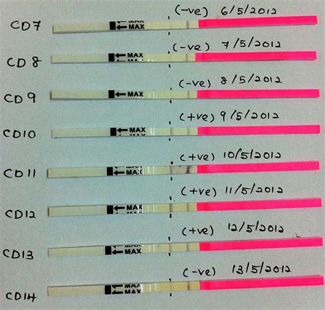 Top 90 Pictures What Does A Positive Ovulation Test Strip Look Like Stunning 102023