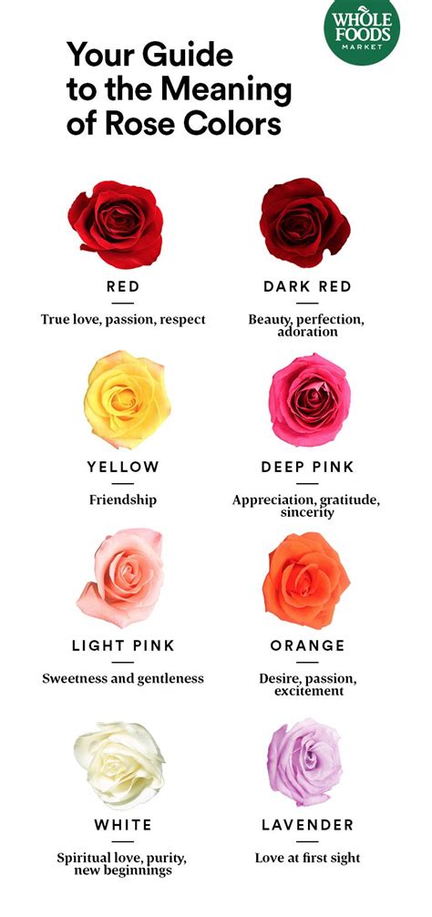 5 Things To Know When Shopping Our Roses Rose Color Meanings Flower