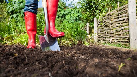 4 Fall Yard Maintenance Chores To Tackle Now And 1 To Skip Fox News
