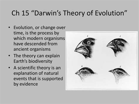 Ppt Ch 15 “darwins Theory Of Evolution” Powerpoint Presentation Id