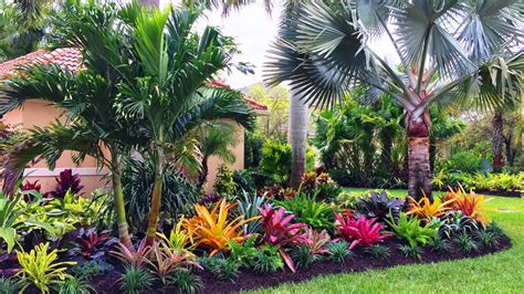 Florida Plants Landscaping Tropical Backyard Landscaping Tropical