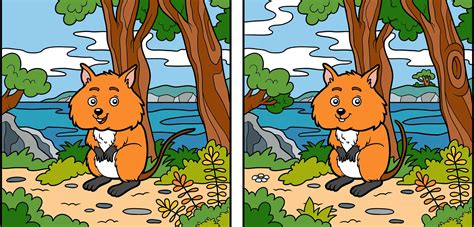 Can You Spot The 10 Differences In This Picture Reader