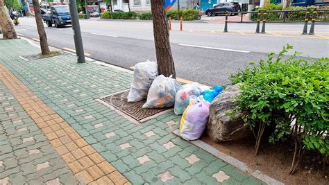 Where Can You Throw Away Trash In Public In South Korea Timzer Travels