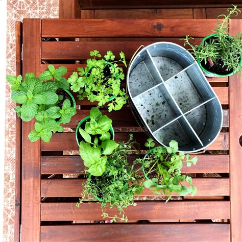 Diy Simple Herb Garden Alfa Sengupta