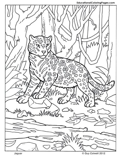 Mammals Coloring - Educational Fun Kids Coloring Pages and Preschool