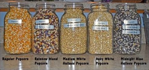 Different Types Of Popcorn Kernels Good To Know If You