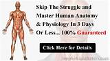 Human Anatomy And Physiology Online College Course Pictures