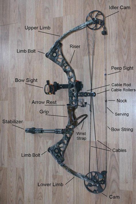 Diagram Of The Parts Of A Compound Bow Bowhunting Archery Compound