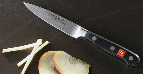 What Is A Paring Knife Everything You Need To Know About It