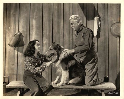 Elizabeth Taylor The Courage Of Lassie 1946 Walterfilm