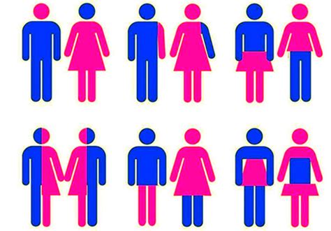 España Reconoce Ya 37 Identidades De Género Y 10 Orientaciones Sexuales