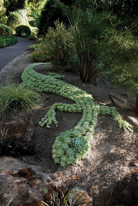 57 Best Succulent Garden Ideas With Tutorials Pictures