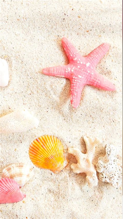 Summer Beach Sand Shell Starfish Hd Phone Wallpaper Peakpx