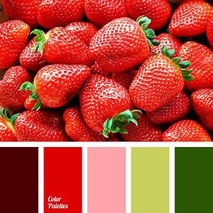 Strawberry Color Color Palette Ideas