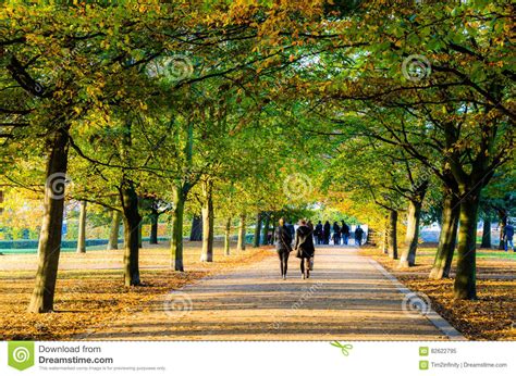 People Walking Under A Treelined Path At Greenwich Park Stock Image