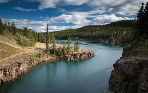 Yukon River Forest Spring Morning Beautiful River Canada Miles