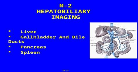 M 2 Hepatobiliary Imaging Liver Gallbladder And Bile Ducts Pancreas