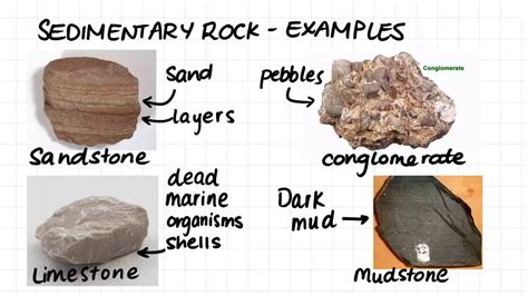Sedimentary Rocks Examples