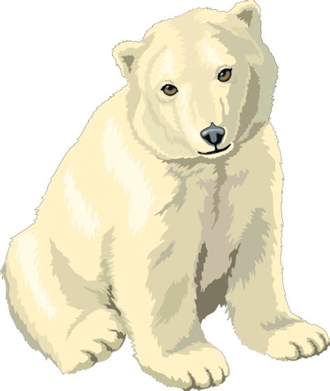 Cartoon Polar Bear Png Free Logo Image