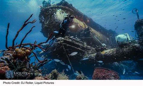 Aquarius Reef Base Underwater Underwater World Beneath The Sea