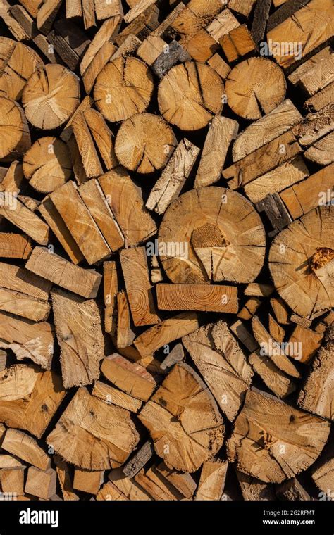 Stack Of Neatly Stacked Firewood Is Dried Under A Canopy In The Open