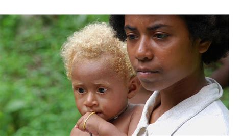 Incidence of blond hair in europe. Meet the natural blonde hair Melanesian people from the ...