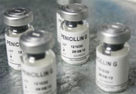 Ciencia En Im Genes El Descubrimiento De La Penicilina