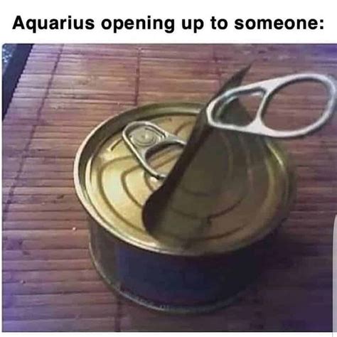 36 funny aquarius memes that are basically aquarian facts zodiac signs aquarius zodiac signs