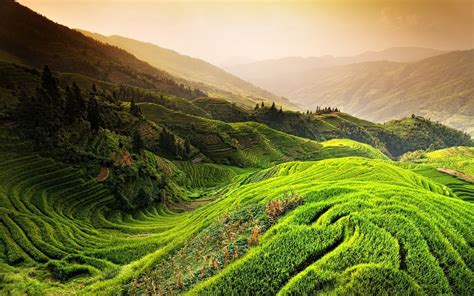 1600x1000 Nature Landscape Rice Paddy China Mountain Mist Sunrise