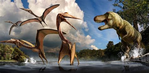 Cretaceous Dinosaurs Fossils And Paleontology Us National Park