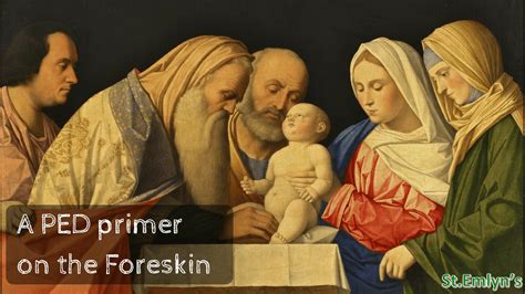 Foreskins A Ped Primer Stemlyns • St Emlyns