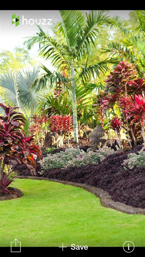 372 Best Images About Tropical Landscaping Ideas On Pinterest
